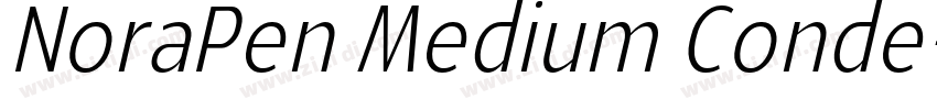 NoraPen Medium Conde字体转换